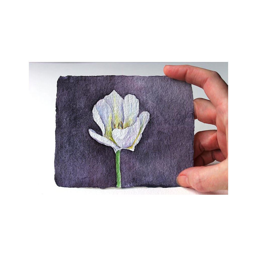 White tulip original watercolour painting by Kathleen Maunder