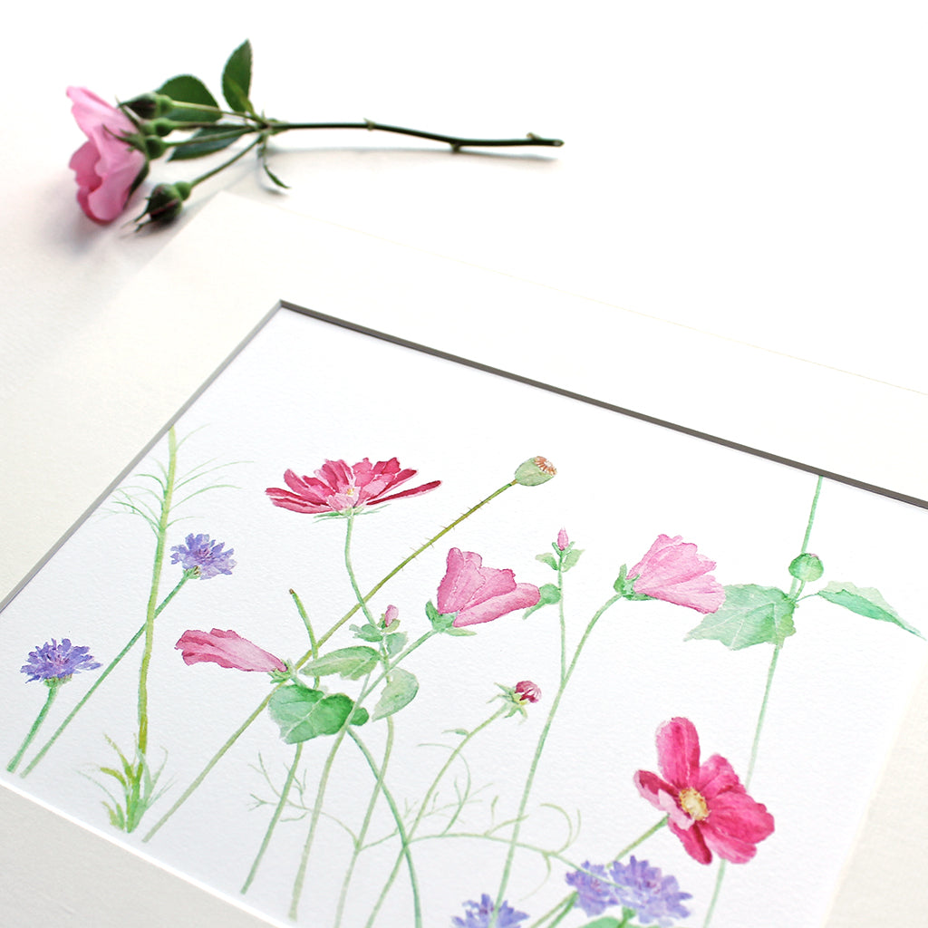 Wildflowers Watercolor Print based on an original watercolor painting by Kathleen Maunder. The image includes cosmos, malva and cornflowers.