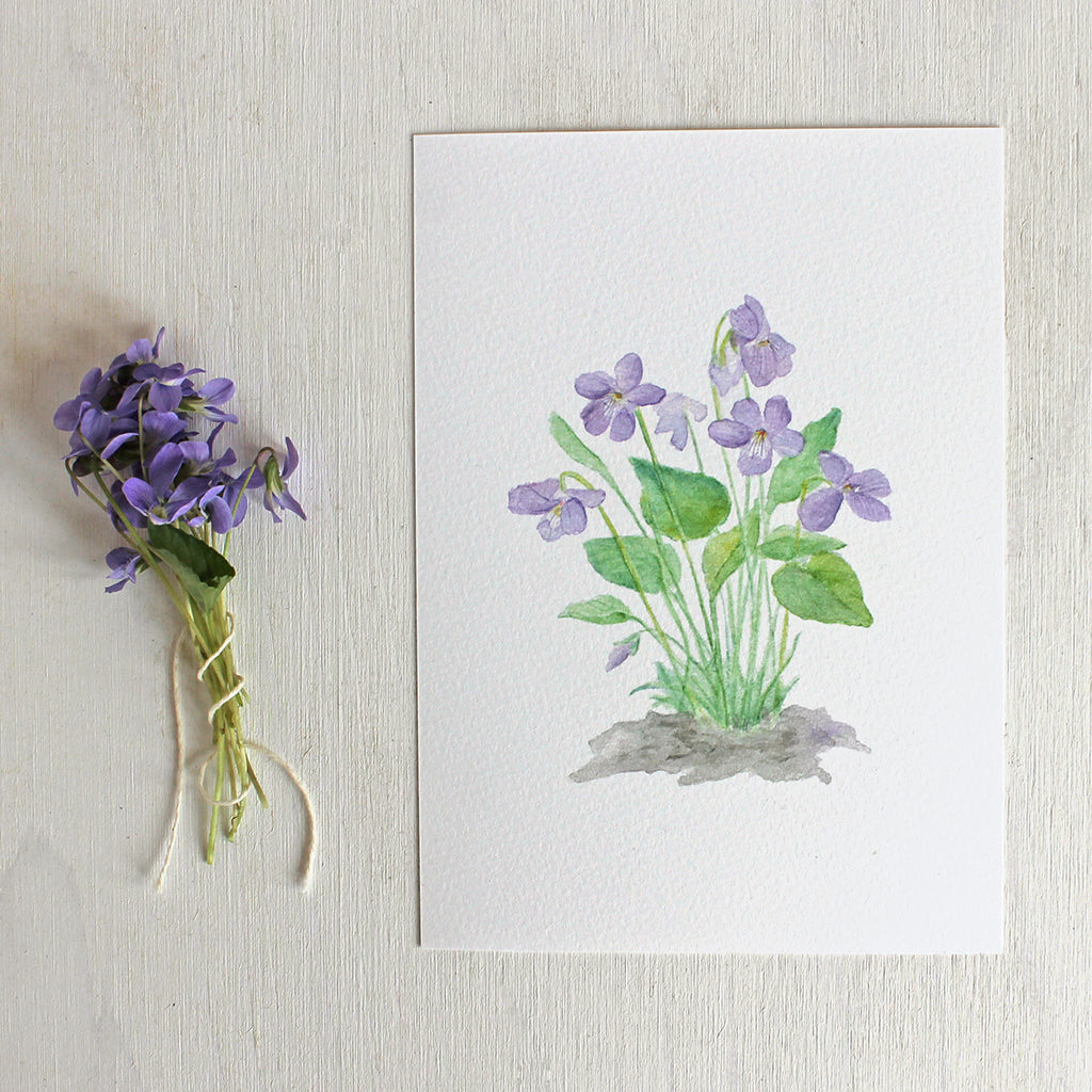 An art print of a delicate watercolor painting of wood violets by artist Kathleen Maunder.