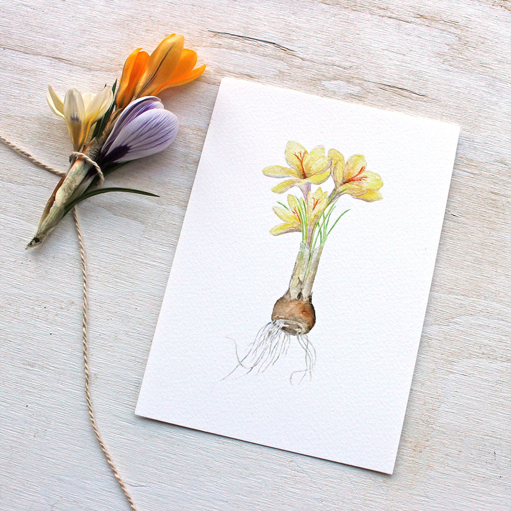 Botanical painting of crocuses by Kathleen Maunder, trowelandpaintbrush.com