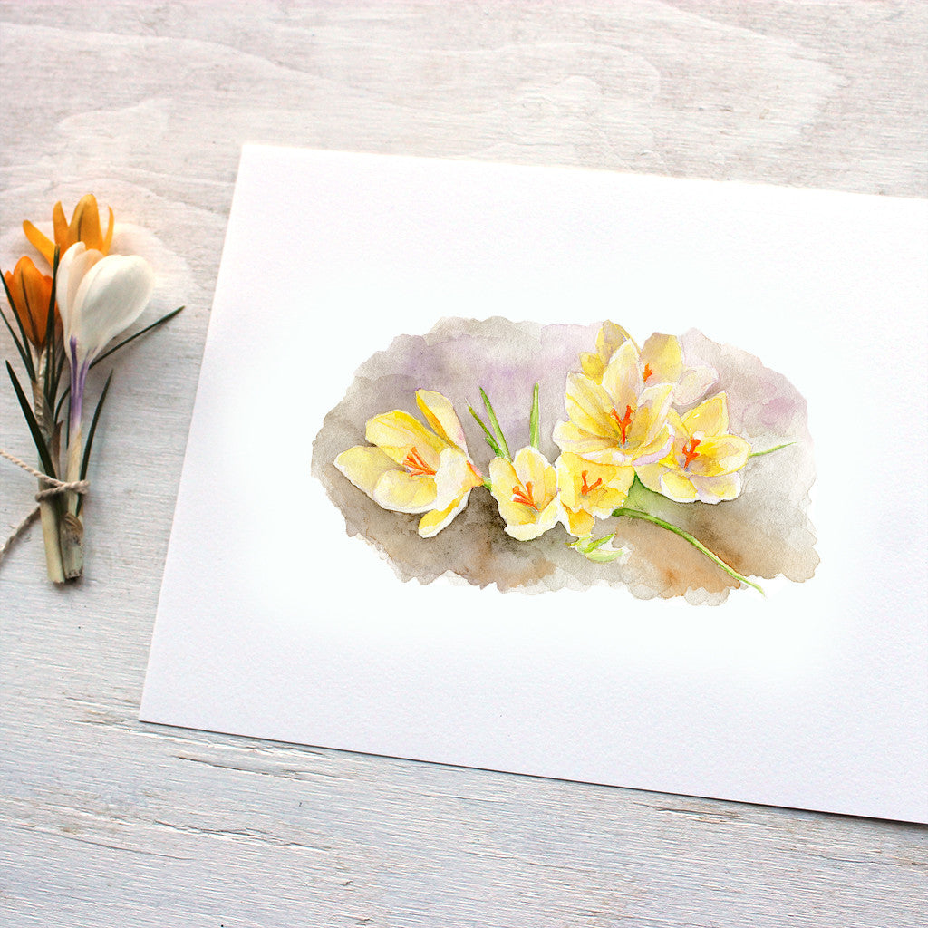 Yellow crocuses by watercolour artist Kathleen Maunder