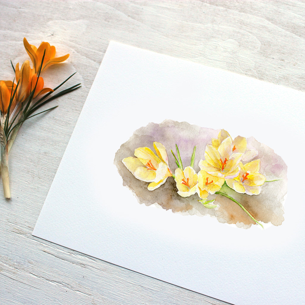 Yellow crocus print by watercolor artist Kathleen Maunder