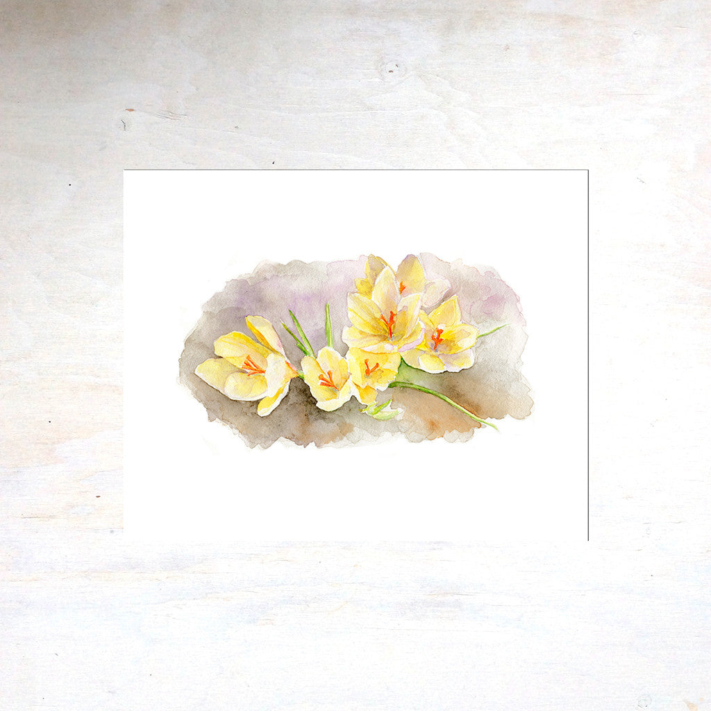 Yellow crocuses by watercolor artist Kathleen Maunder, trowelandpaintbrush.com