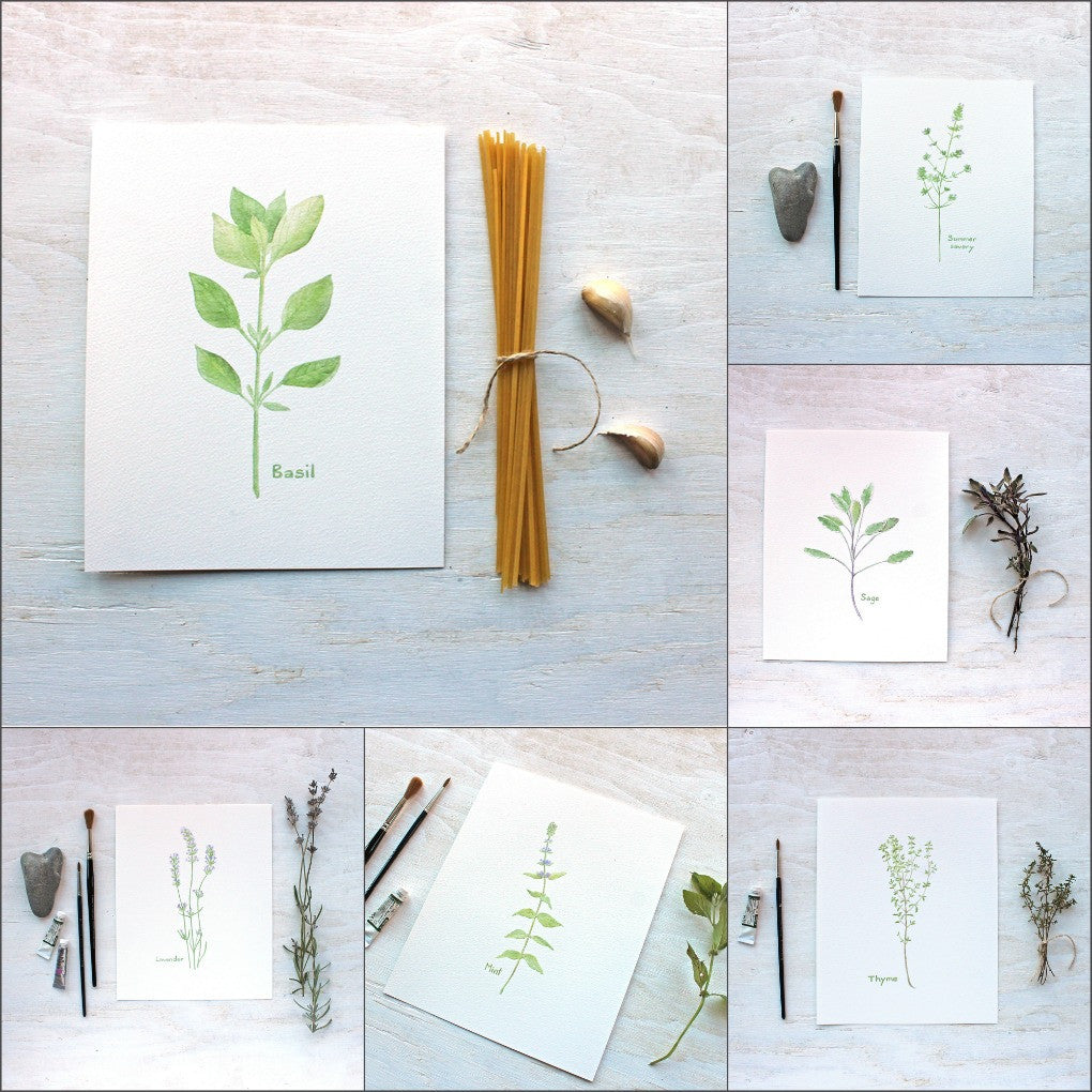 Herbs and Edible Flowers Print Collection
