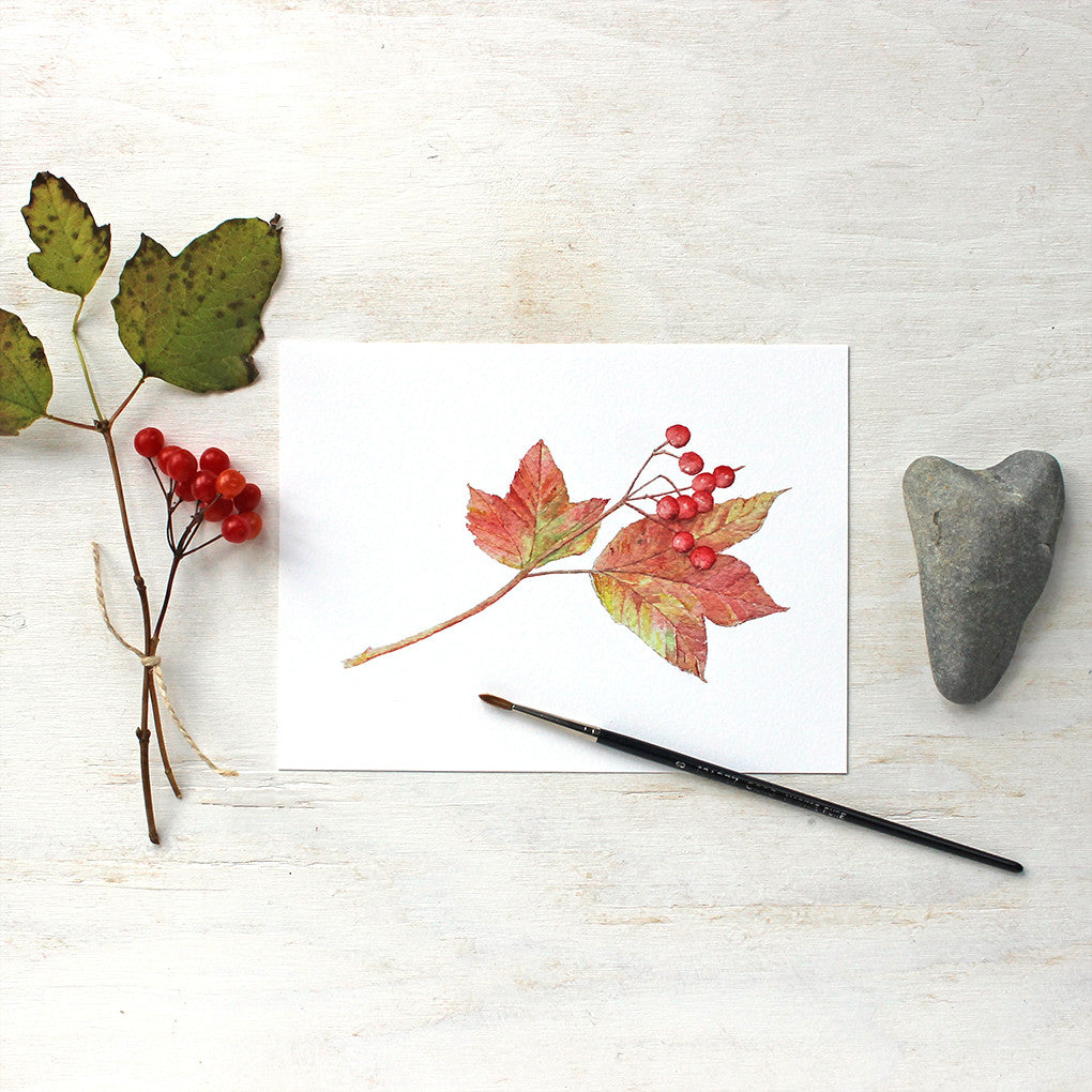 Leaves and Berries