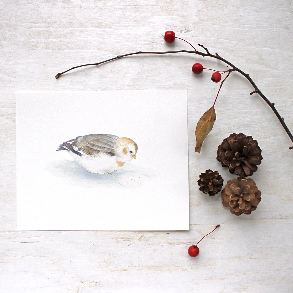 Snow Bunting Art Print