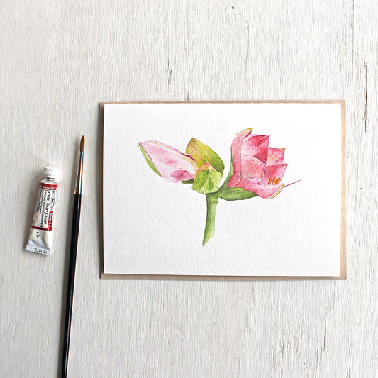 Note card featuring a watercolor painting of a pink amaryllis plant. Artist Kathleen Maunder.
