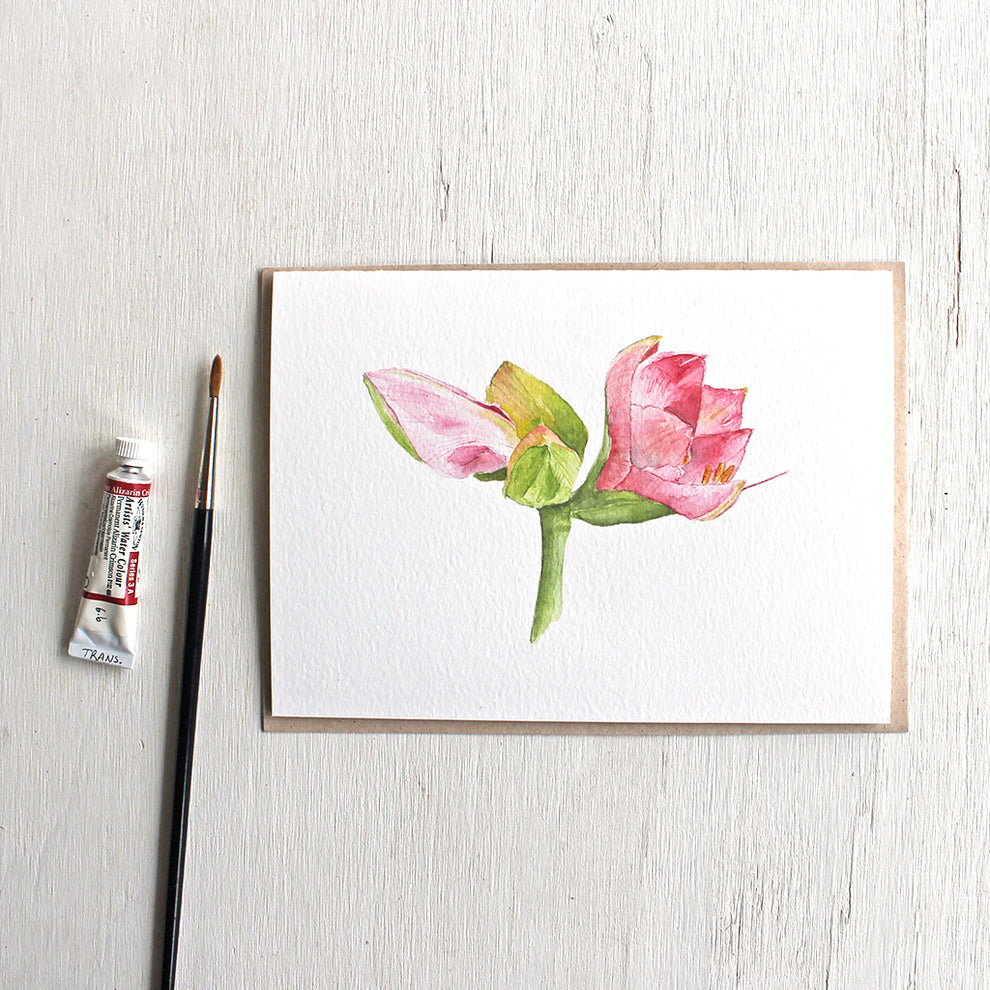 Pink Amaryllis - Set of Note Cards – Trowel and Paintbrush