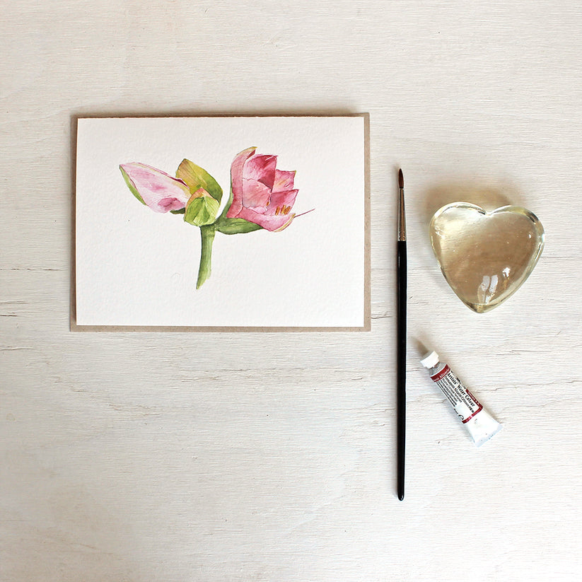 Pink Amaryllis - Set of Note Cards – Trowel and Paintbrush