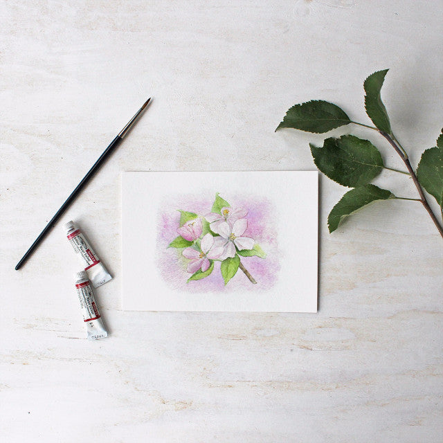 Apple blossom print based on an original watercolor by Kathleen Maunder - Trowel and Paintbrush