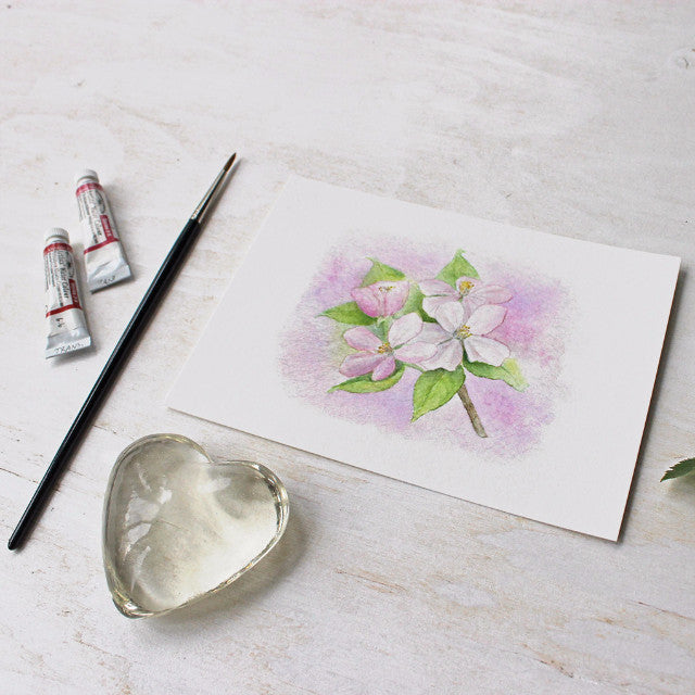 5 x 7 apple blossom print based on a watercolor by Kathleen Maunder - Trowel and Paintbrush