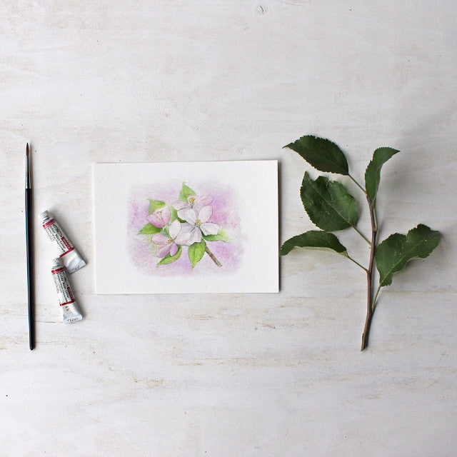 Apple blossom print based on a watercolor by artist Kathleen Maunder - Trowel and Paintbrush