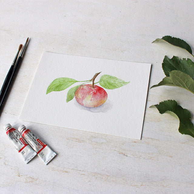 Giclée print of apple watercolor painting by Kathleen Maunder - trowelandpaintbrush