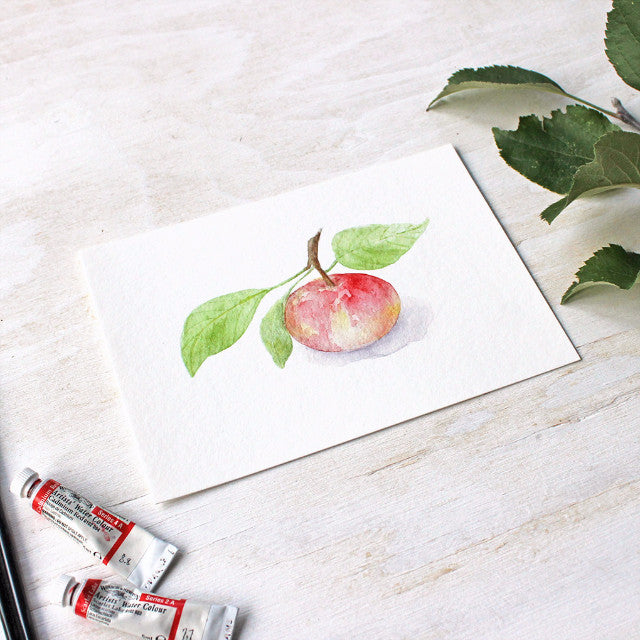 Watercolour print of apple by Kathleen Maunder / Trowel and Paintbrush