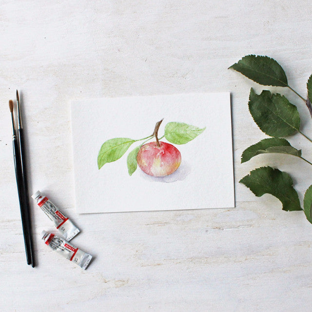 Watercolor painting of little apple - 5 x 7 print - Kathleen Maunder (Trowel and Paintbrush)