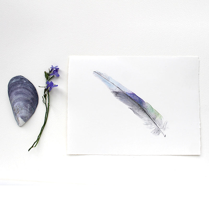 Australian parrot feather original watercolor painting by Kathleen Maunder