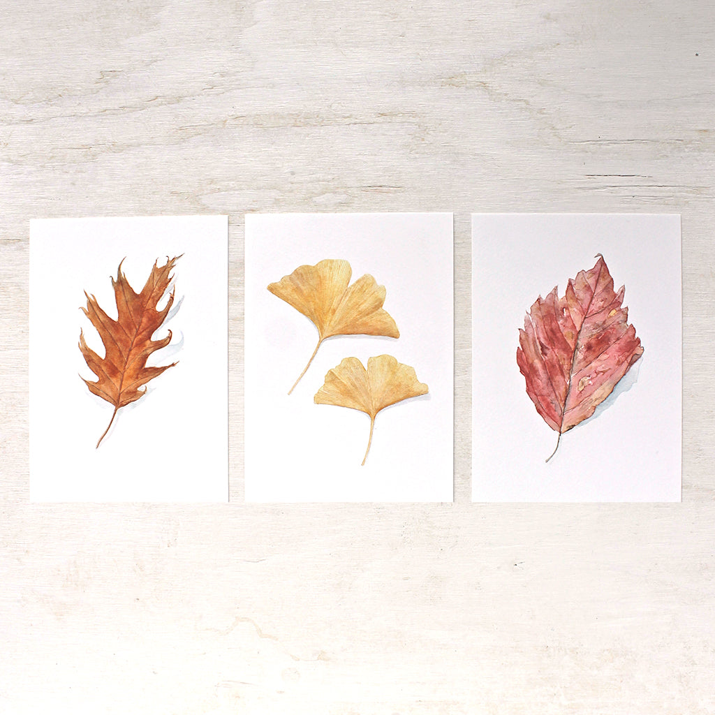 Set of three lovely autumn leaf art prints based on watercolor paintings by Kathleen Maunder. A red beech leaf, two ginkgo leaves and an oak leaf.