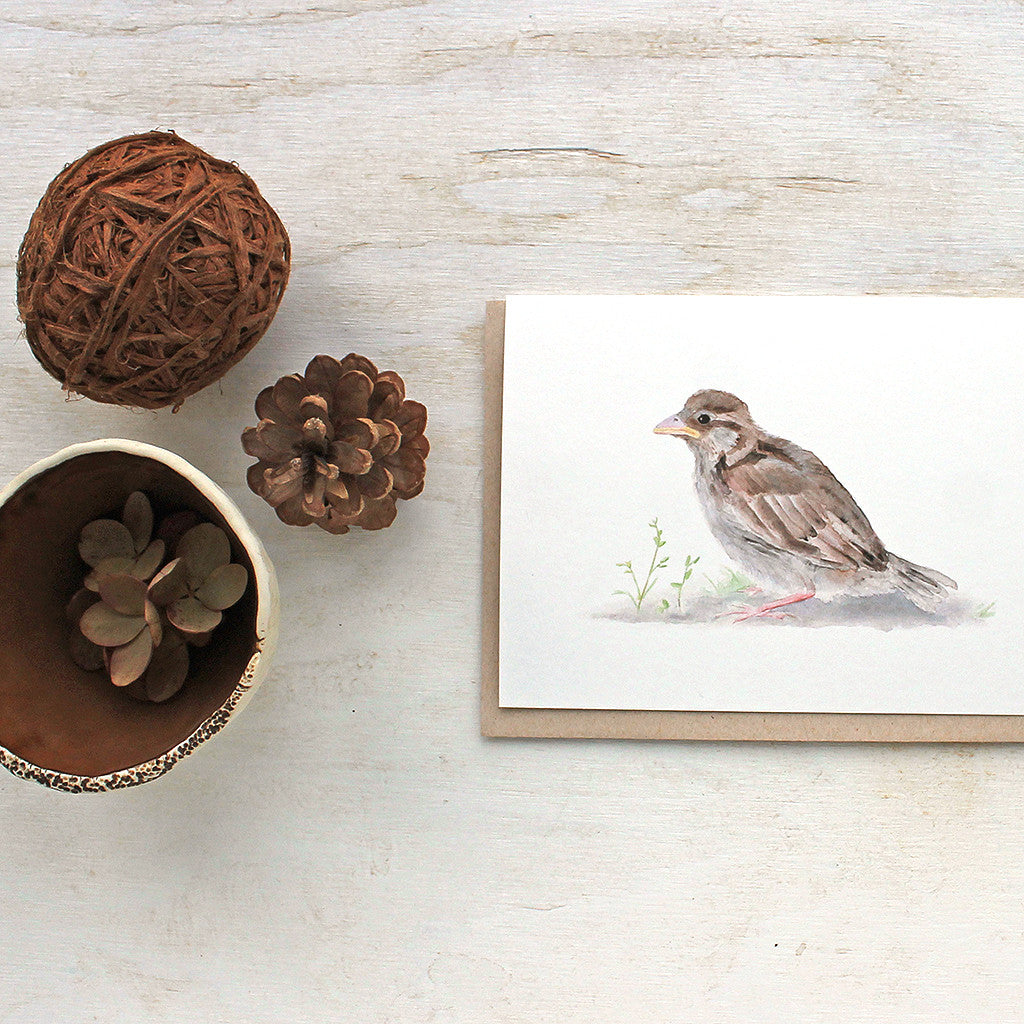 Sparrow note cards by Kathleen Maunder, trowelandpaintbrush