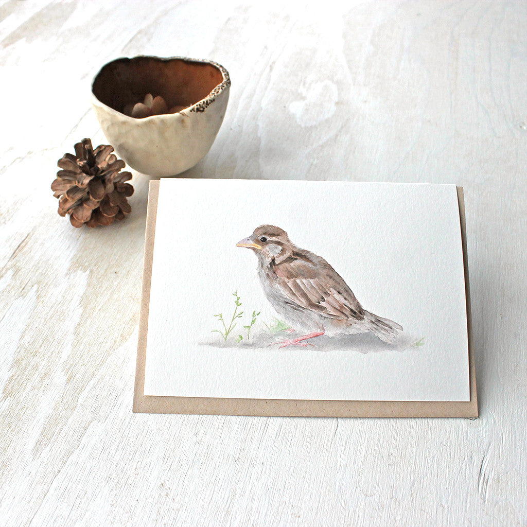Baby sparrow watercolor cards by Kathleen Maunder, trowelandpaintbrush