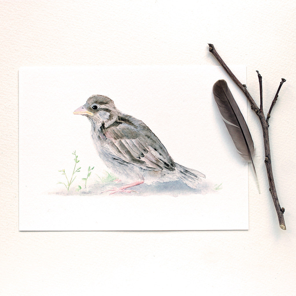 Baby sparrow watercolor print by artist Kathleen Maunder