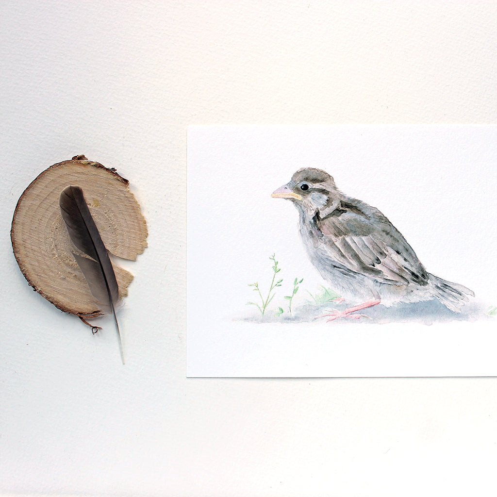 Baby Sparrow Print