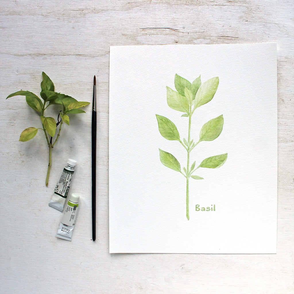 An art print featuring a delicate watercolor painting of the herb basil. Artist Kathleen Maunder.