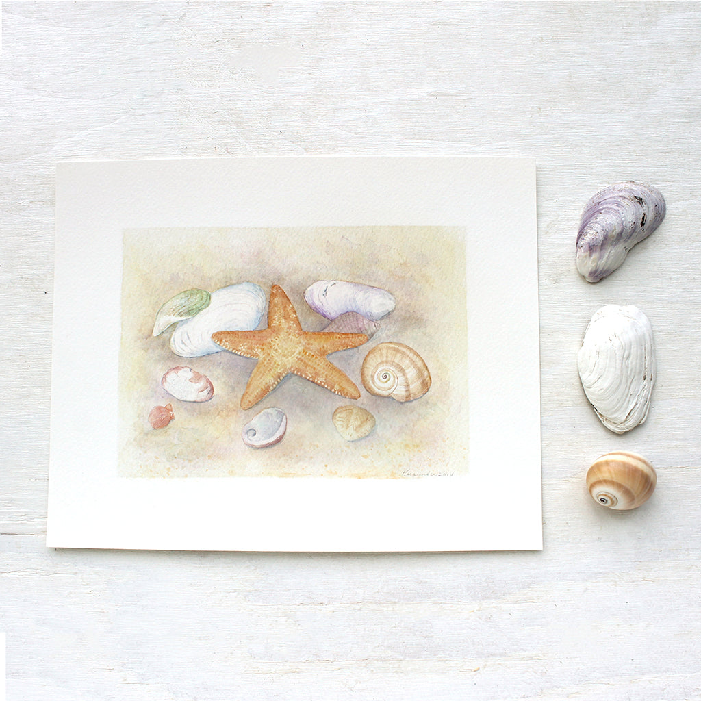 Art print depicting a watercolor painting of a collection of sea shells and a starfish. Artist Kathleen Maunder.