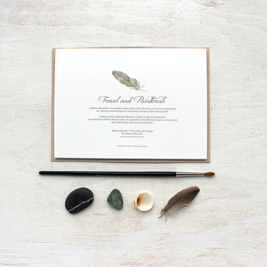 The back of 'Beach Collection' note cards featuring a feather.
