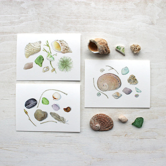 A set of three lovely watercolor note cards featuring nature collections from the beach. Painted by Kathleen Maunder.