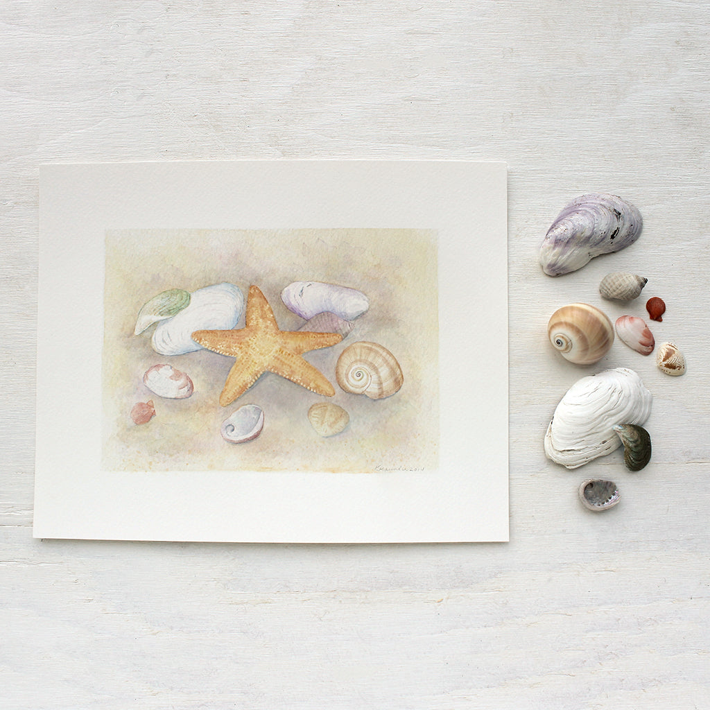 Art print depicting a watercolor painting of a collection of sea shells and a starfish. Artist Kathleen Maunder.