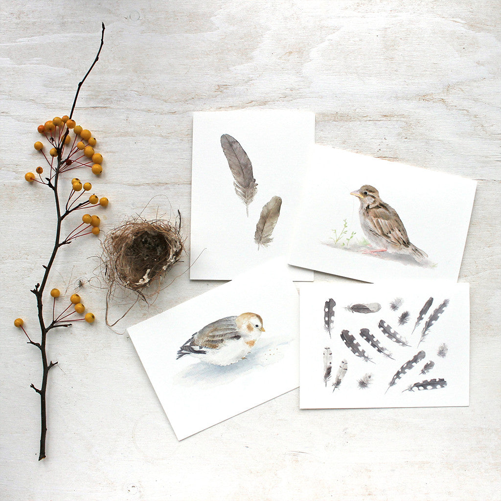 Four watercolor note cards featuring bird and feather paintings by Kathleen Maunder