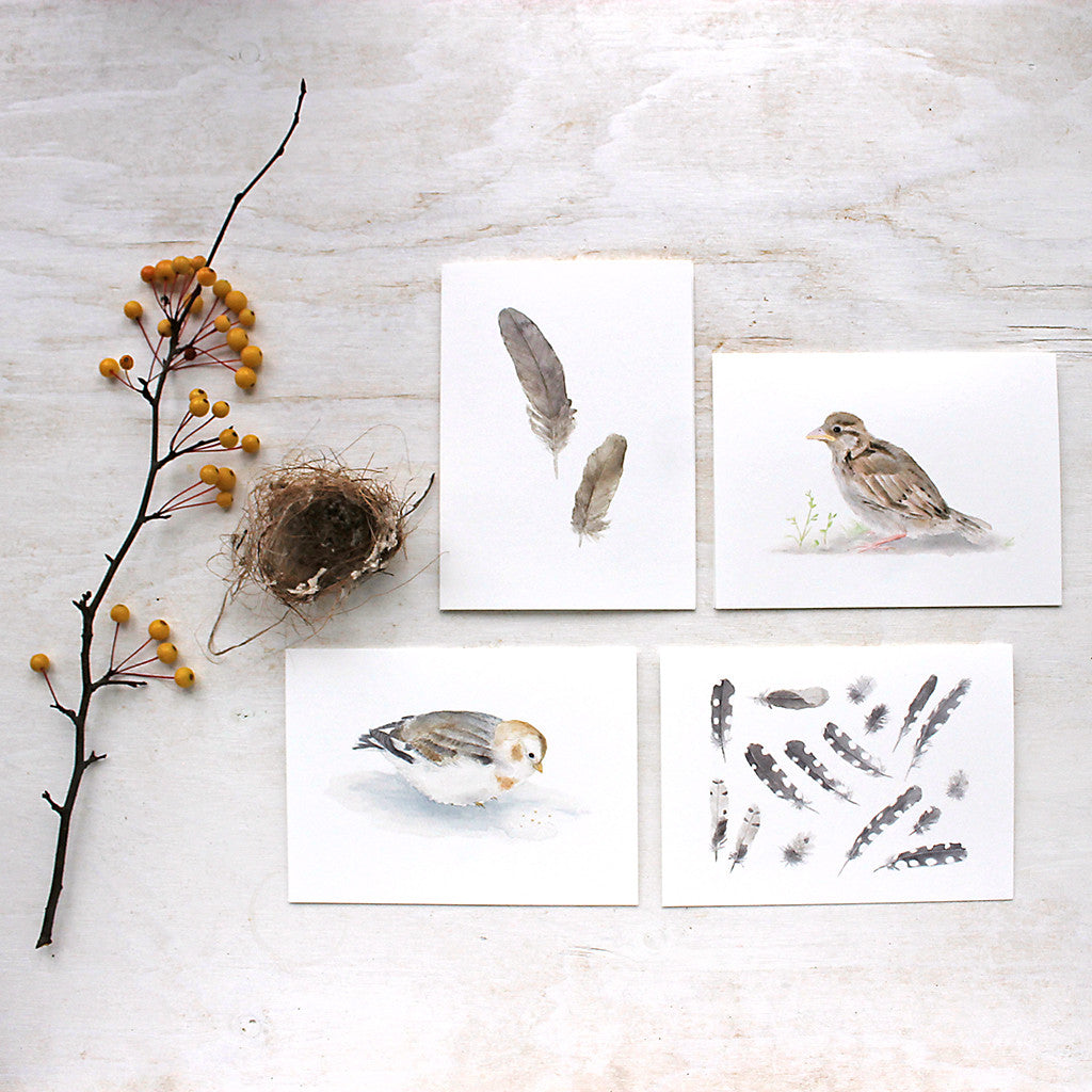 Four watercolor note cards featuring bird and feather paintings by Kathleen Maunder