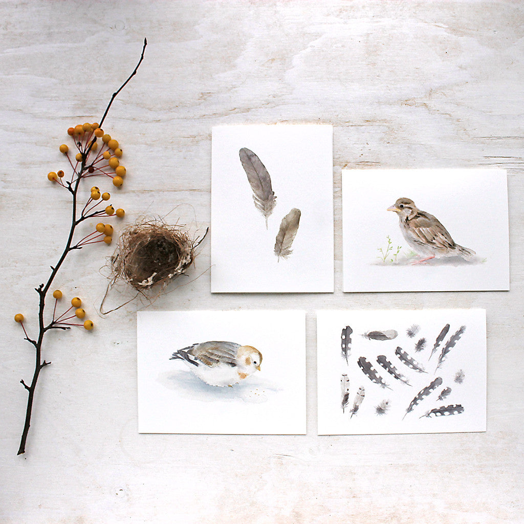 Bird Collection Note Cards - Set of 4 – Trowel and Paintbrush