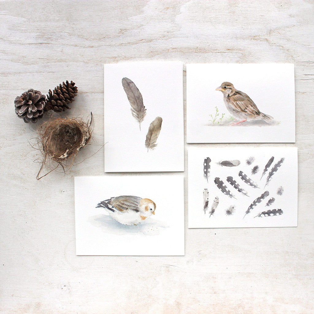 Four blank note cards featuring bird and feather watercolor paintings by Kathleen Maunder
