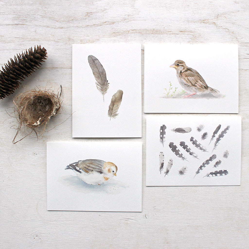 Watercolor note cards featuring bird and feather paintings by Kathleen Maunder