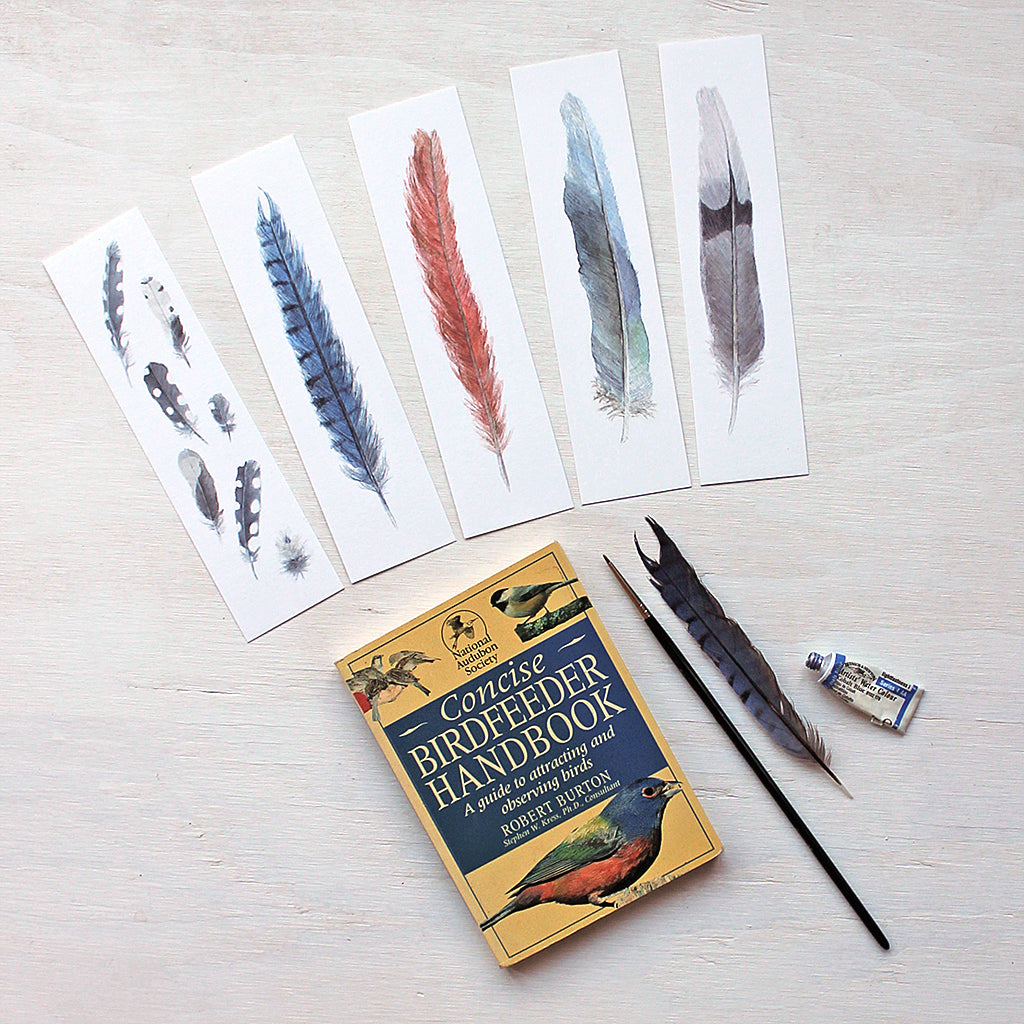 Set of five paper bookmarks featuring watercolor paintings of bird feathers: woodpecker, blue jay, cardinal, parrot and mourning dove by artist Kathleen Maunder.