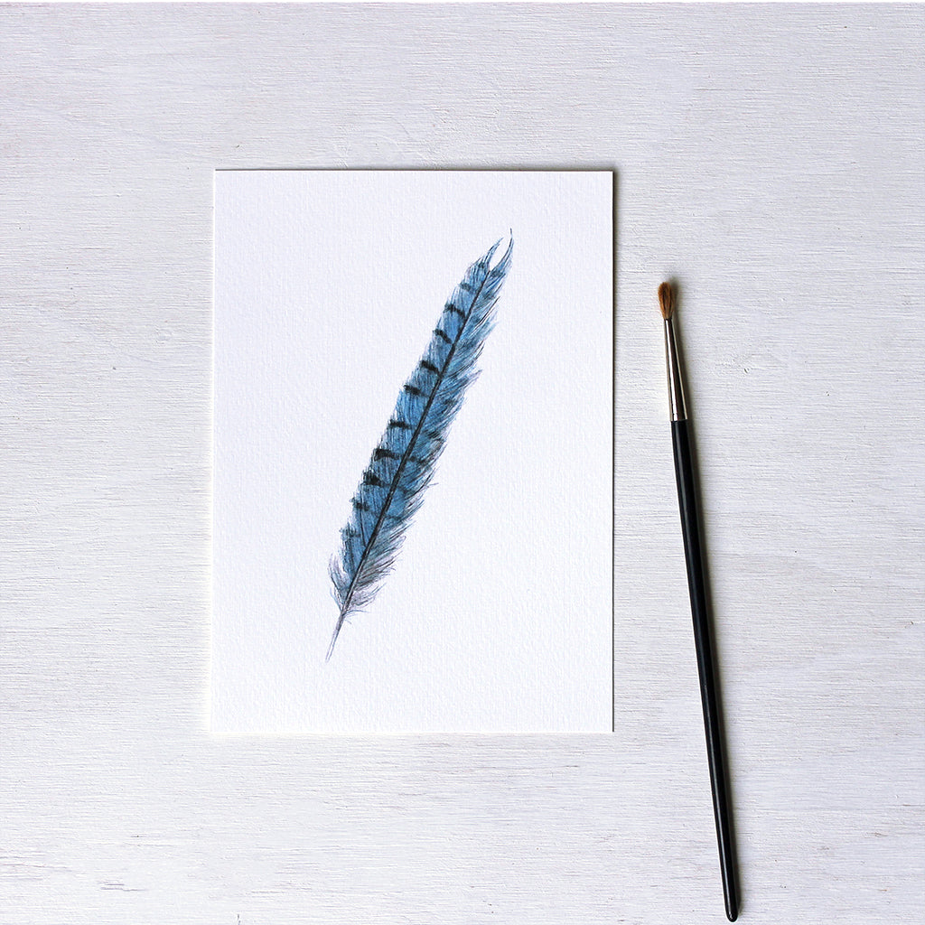 A blue jay feather art print based on an original watercolour painting by Canadian artist Kathleen Maunder.