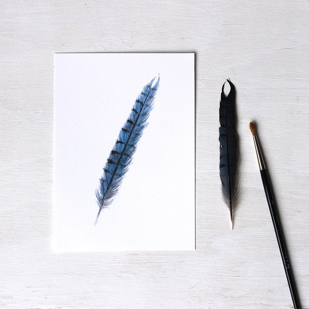 A blue jay feather art print based on an original watercolor painting by Kathleen Maunder.