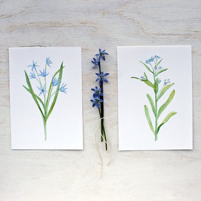 Blue botanical watercolor prints - Scilla and Forget-me-nots by artist Kathleen Maunder