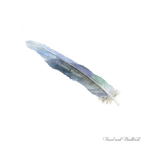 Plume bleue - Reproduction d'art