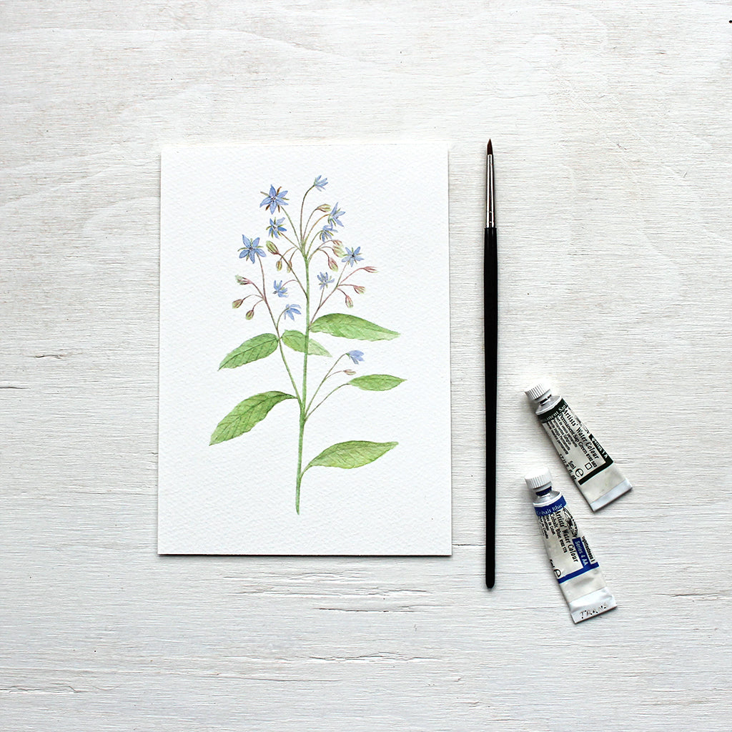 Borage watercolour print by artist Kathleen Maunder