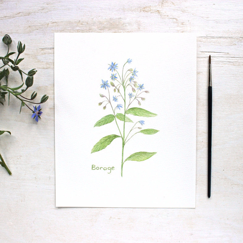 Borage print | Watercolor painting by Kathleen Maunder of Trowel and Paintbrush