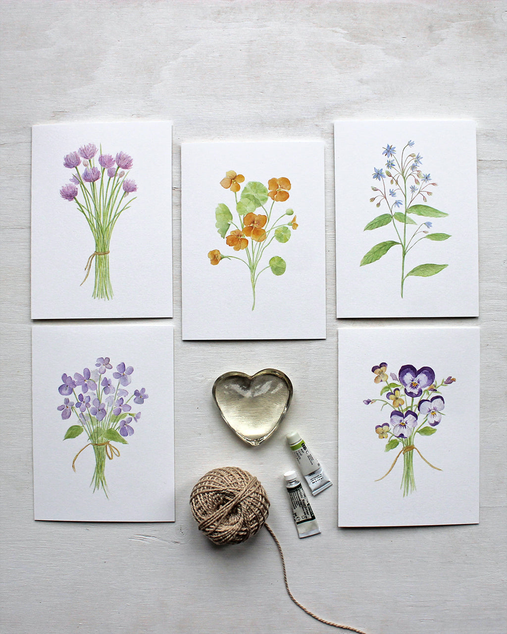Set of five cards featuring botanical watercolor paintings by Kathleen Maunder