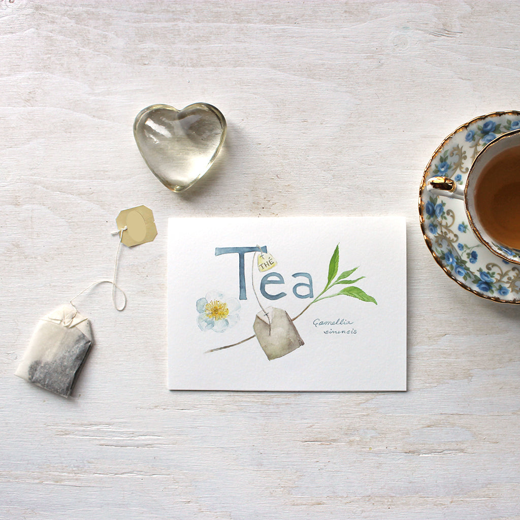 Tea watercolor note cards with botanical painting by Kathleen Maunder (Trowel and Paintbrush)