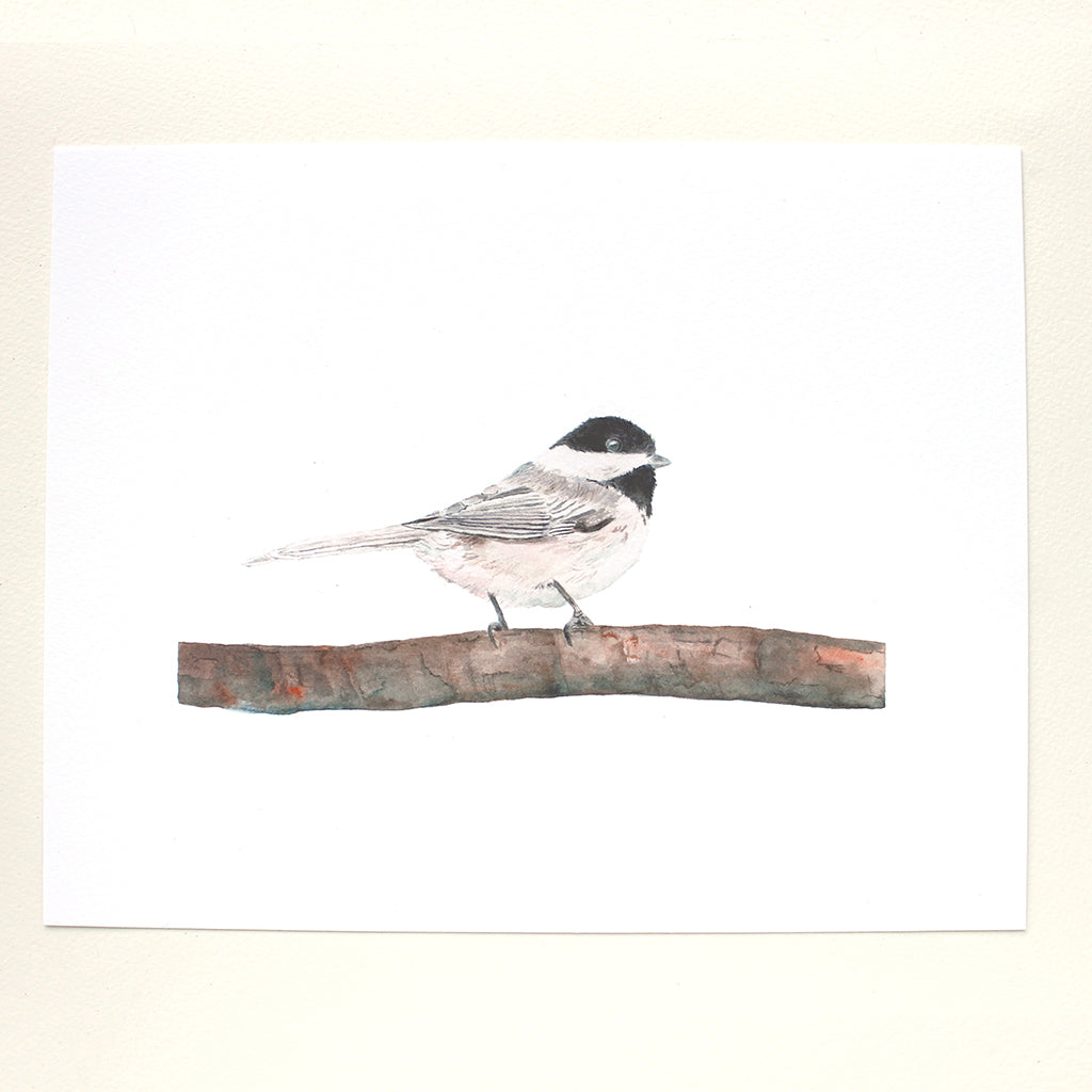 Chickadee art print based on a watercolour painting by Canadian artist Kathleen Maunder.