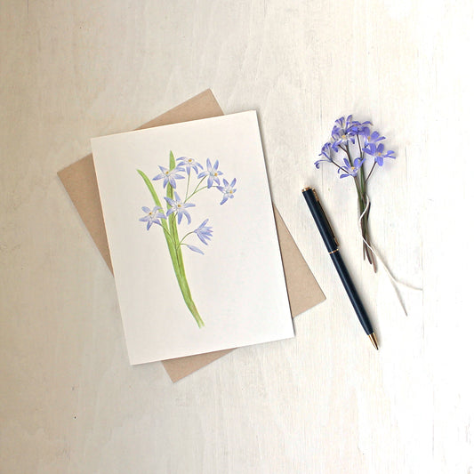 A note card featuring a watercolor painting of blue chionodoxa (glory of the snow) by artist Kathleen Maunder.