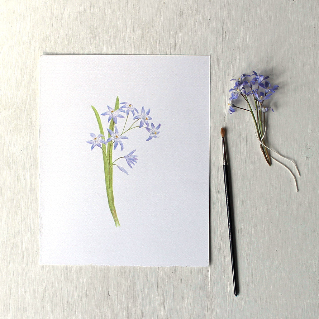 An art print featuring a watercolor painting of blue chionodoxa or glory-of-the-snow. Artist Kathleen Maunder.