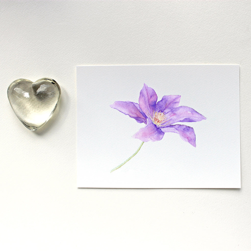A lovely art print featuring a delicate watercolor painting of purple clematis. Artist Kathleen Maunder.