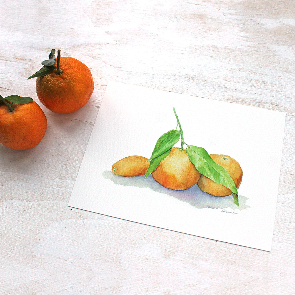 Clementines and kumquat watercolor print by Kathleen Maunder, trowelandpaintbrush.com