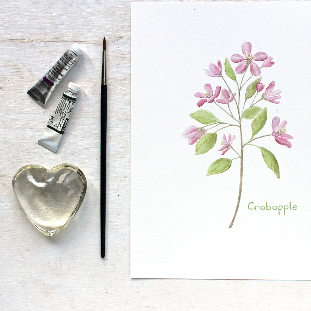 Delicate pink crabapple blossoms and leaves painted in watercolor by artist Kathleen Maunder.